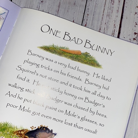 Three minute tales Bunnies kids book - Picture 12 of 13
